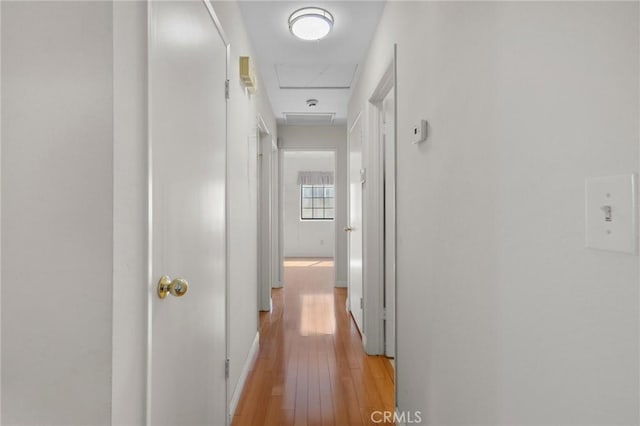 hall featuring light wood-type flooring and attic access
