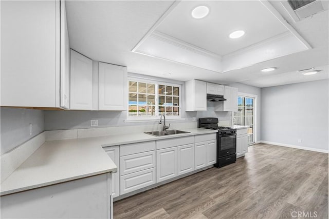10341 N Loop Blvd, California City, CA 93505 - kitchen featuring black range with gas cooktop, visible vents, a sink, a tray ceiling, and white cabinetry