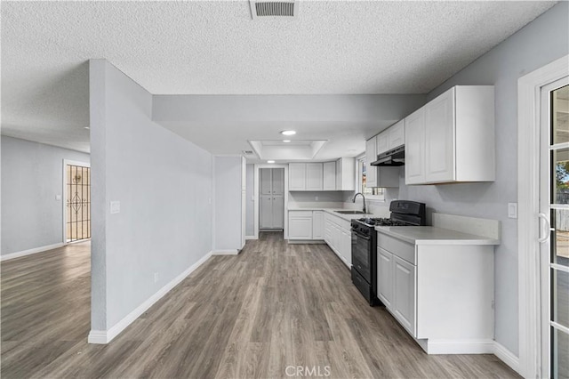 10341 N Loop Blvd, California City, CA 93505 - kitchen featuring wood finished floors, a sink, and black gas stove