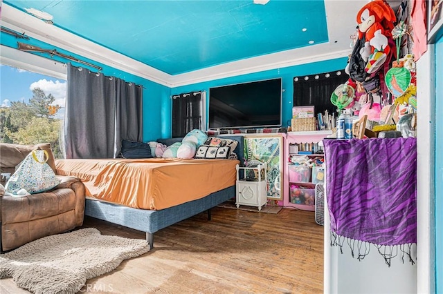 bedroom featuring wood finished floors and a tray ceiling