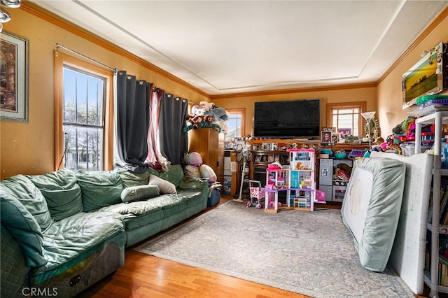 living room with ornamental molding and wood finished floors