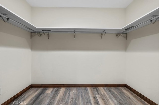 walk in closet featuring wood finished floors