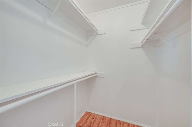 5400 Newcastle Ave Unit 56, Encino, CA 91316 - walk in closet with light wood finished floors
