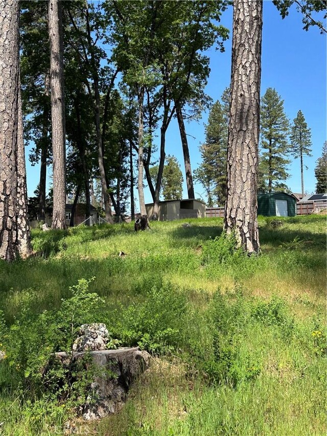 6322 Harvey, Paradise, CA 95969 - view of yard