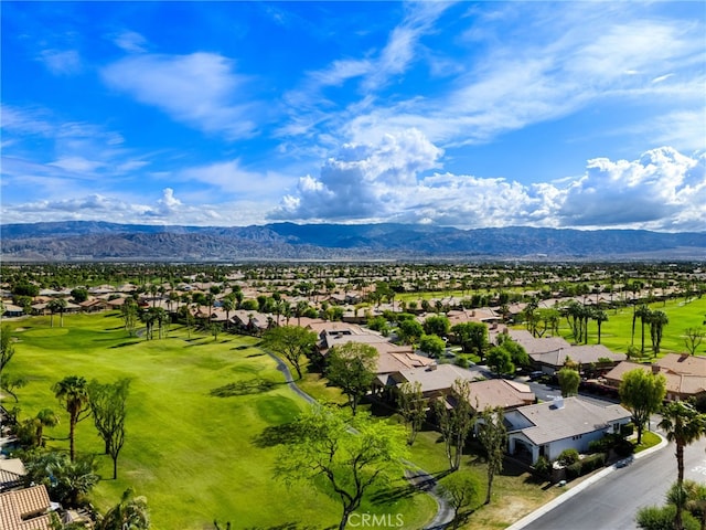 45259 Crystal Springs Dr, Indio, CA 92201 - photo 48