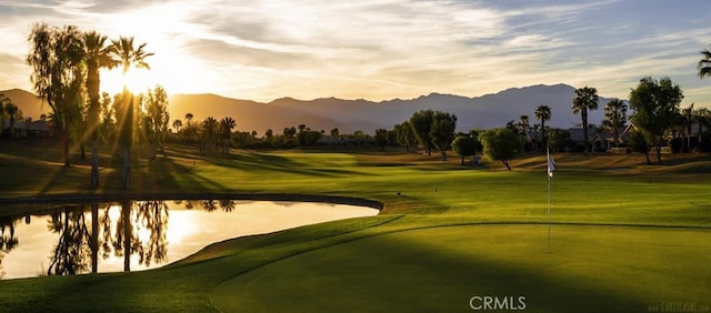 45259 Crystal Springs Dr, Indio, CA 92201 - photo 43