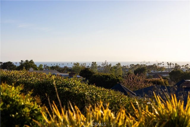 view of landscape