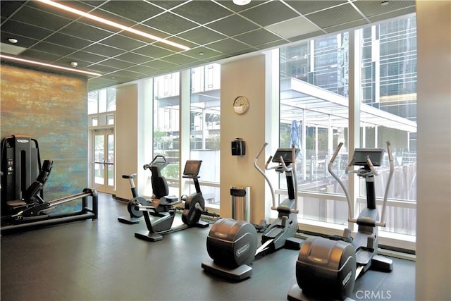 gym featuring a wall of windows