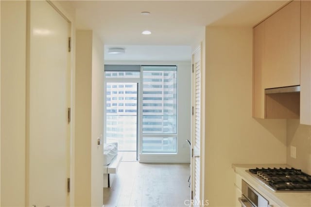 hallway featuring light wood-style flooring