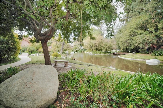 view of property's community featuring a water view