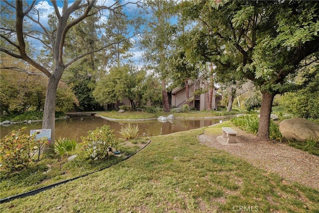 view of yard with a water view