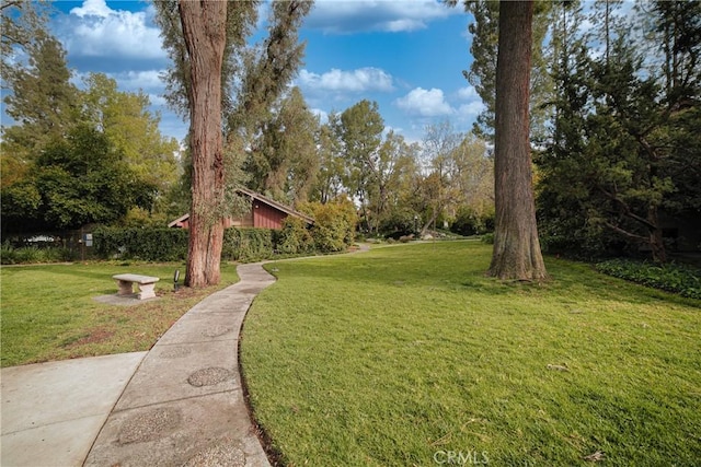 view of property's community featuring a lawn