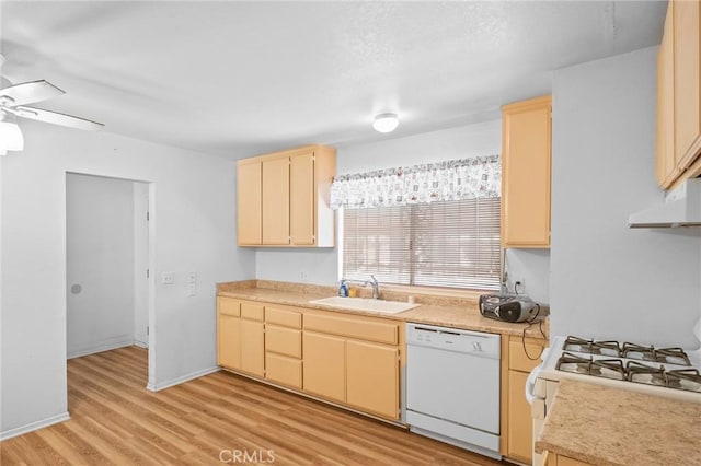 kitchen featuring a ceiling fan, white appliances, light wood-style floors, light countertops, and a sink