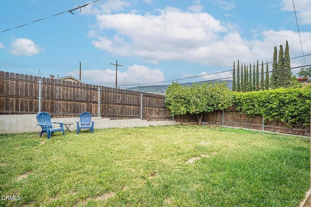 view of yard featuring a fenced backyard