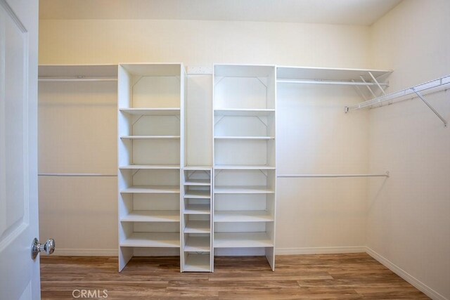walk in closet with wood finished floors