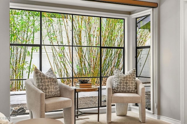 sitting room featuring baseboards and carpet flooring