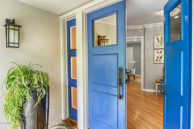 entrance to property featuring stucco siding
