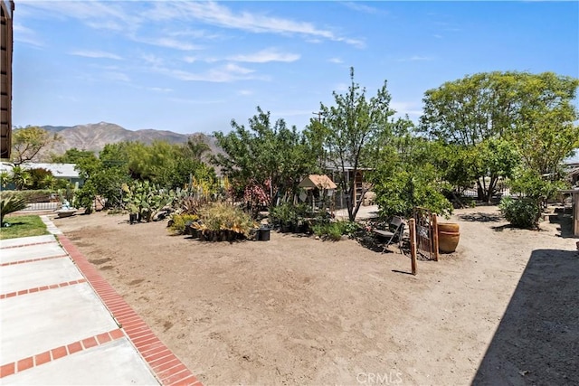 view of yard with a mountain view