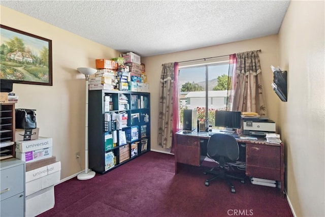 office featuring a textured ceiling, baseboards, and dark colored carpet