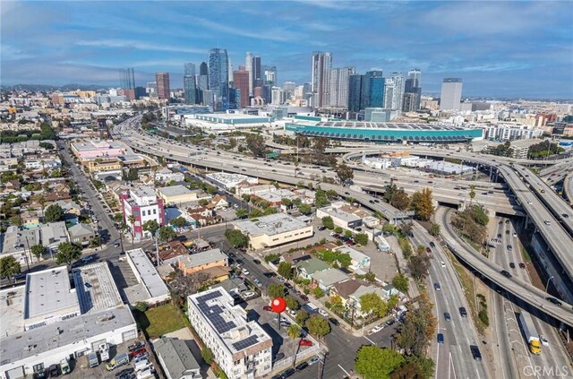 907 W 17th St, Los Angeles, CA 90015 - photo 4