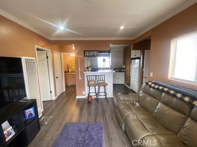 living area featuring dark wood-style floors, plenty of natural light, and ornamental molding