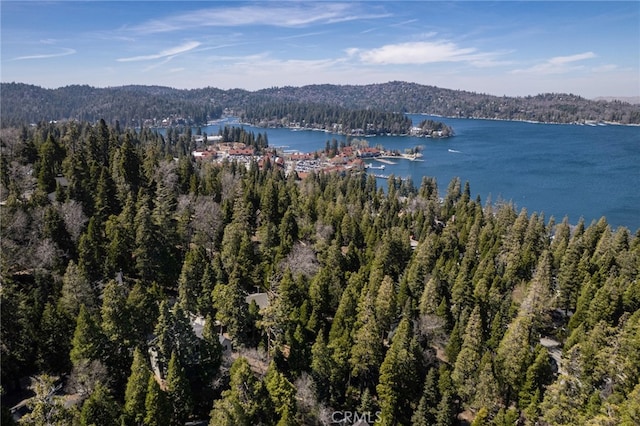 388 Primrose Cir, Lake Arrowhead, CA 92352 - property view of water with a view of trees
