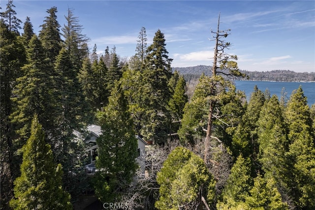 388 Primrose Cir, Lake Arrowhead, CA 92352 - exterior space with a view of trees