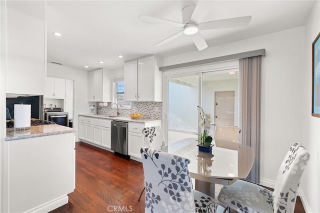 kitchen featuring white cabinets, dark wood-style flooring, a sink, backsplash, and stainless steel dishwasher