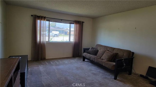 living area featuring a textured ceiling and carpet