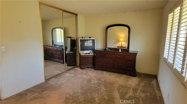 bedroom with multiple windows, carpet, and a closet