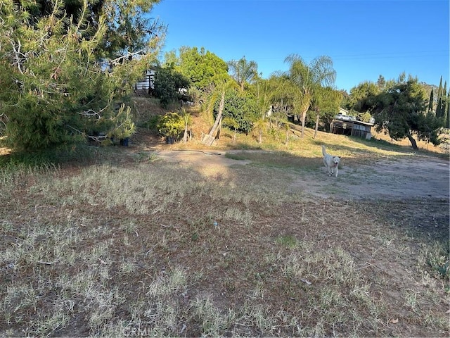 4644 La Canada Rd, Fallbrook, CA 92028 - view of yard