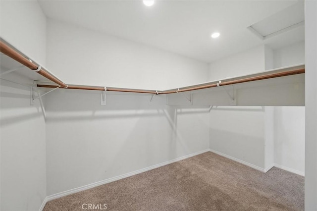 walk in closet with carpet