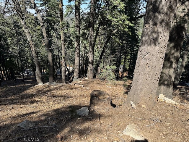 26537 Spyglass Dr, Lake Arrowhead, CA 92352