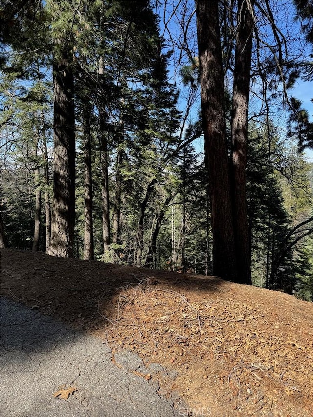 26537 Spyglass Dr, Lake Arrowhead, CA 92352