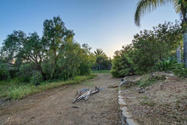 1315 Hermana Ct, Vista, CA 92084 - view of yard