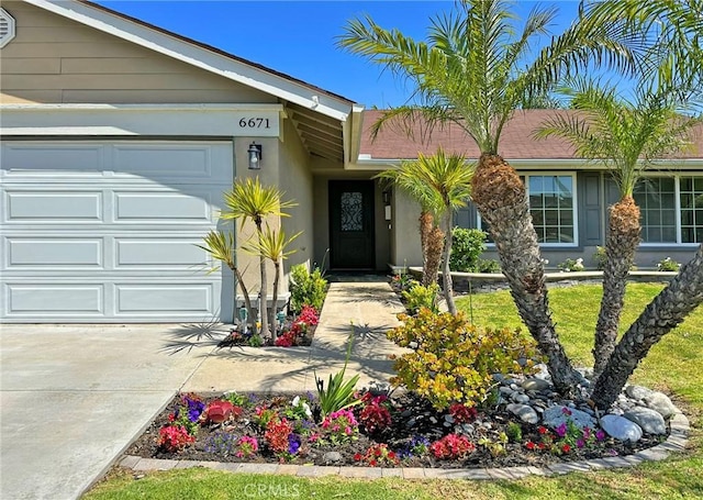 property entrance featuring stucco siding, concrete driveway, and a garage