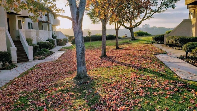 view of property's community featuring a lawn and stairway