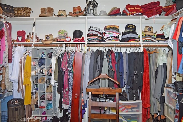 view of walk in closet