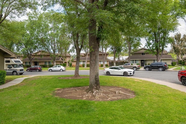 view of yard featuring a residential view