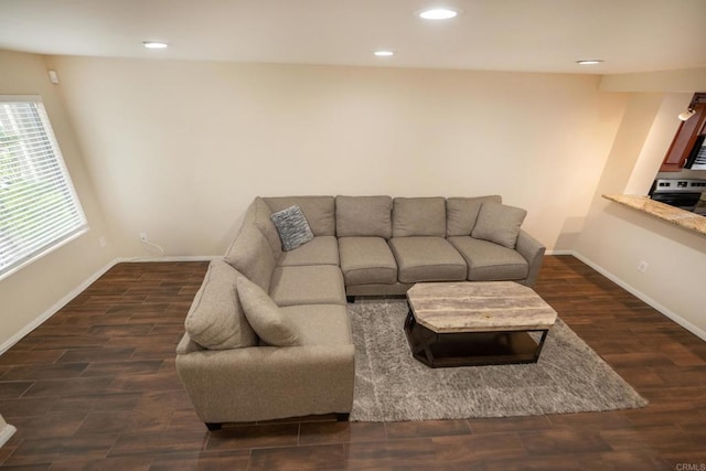 living area with baseboards, recessed lighting, and wood finished floors