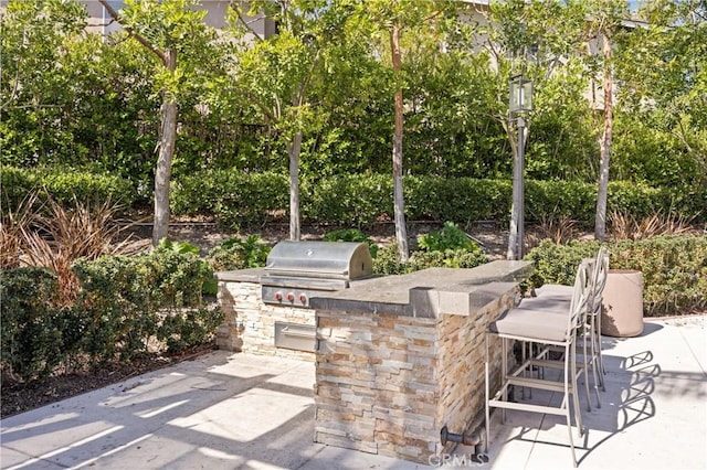 view of patio with grilling area, outdoor dry bar, and exterior kitchen
