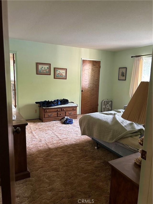 bedroom featuring carpet