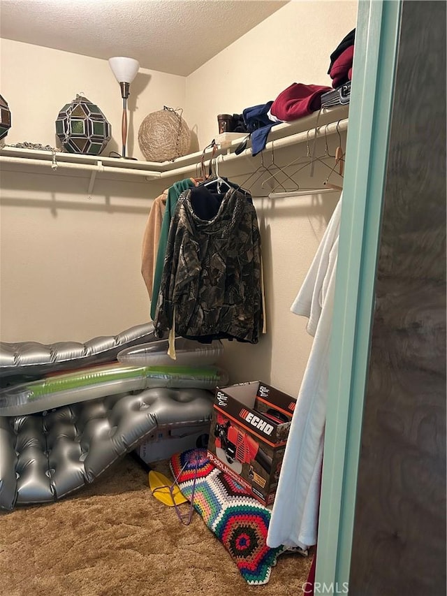spacious closet with carpet floors