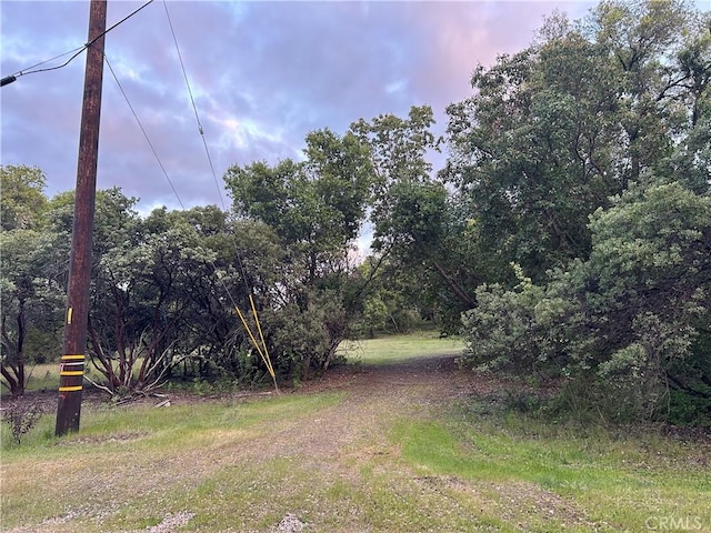 view of yard