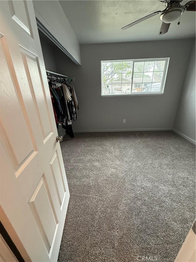 interior space featuring carpet floors and a ceiling fan