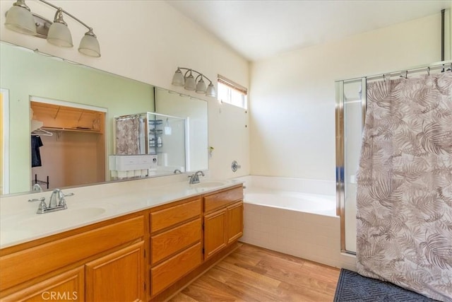 bathroom featuring a sink, double vanity, a shower stall, and a bath