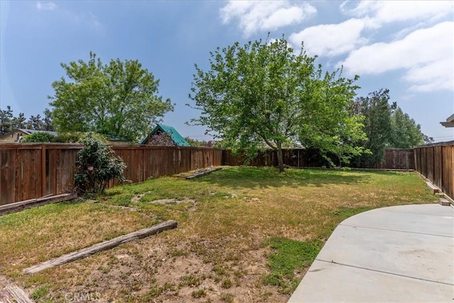 view of yard with a fenced backyard and a patio area