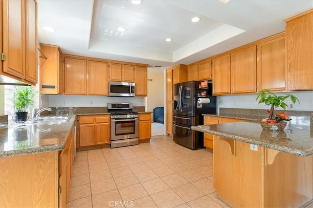 kitchen featuring stone counters, a peninsula, a tray ceiling, and stainless steel appliances