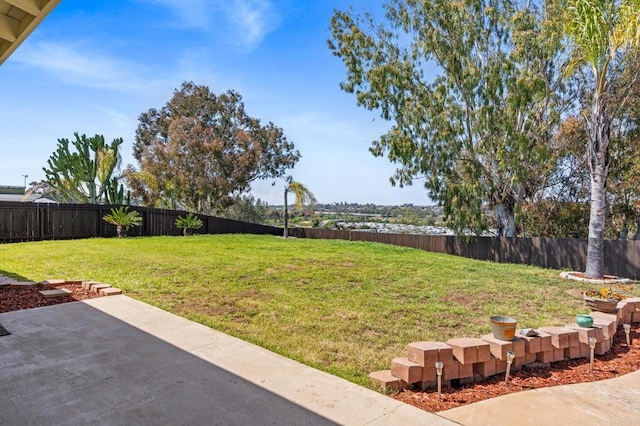 view of yard featuring a patio and a fenced backyard