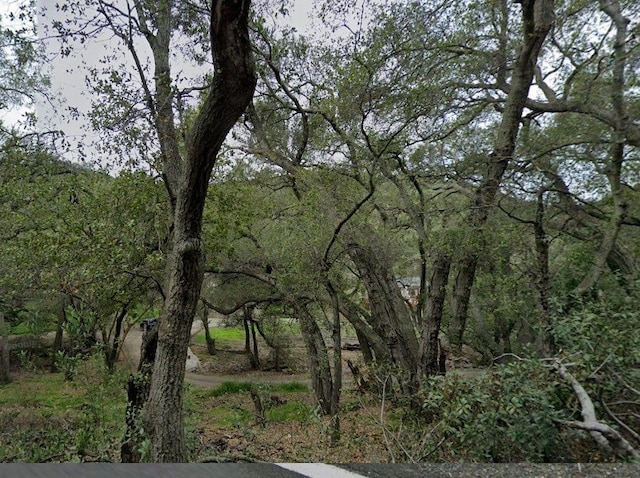 19605 Live Oak Canyon Rd, Trabuco Canyon, CA 92679 - photo 2